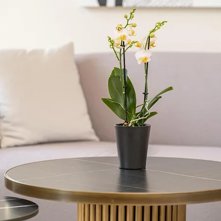 Διαμέρισμα Kantada *